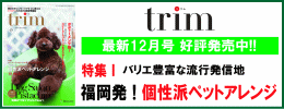trim