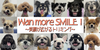ワンちゃんをもっと笑顔にするトリマーさん募集