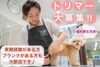 ペットプラストリミングサロンゆめが丘ソラトス店　トリマー大募集！安心・安定の企業で一緒に働きませんか？高待遇・充実の福利厚生！ペットプラスのトリミングサロン♪
