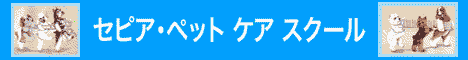 ���ԥ����ڥåȥ�����������
