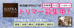SOPRA GINZA