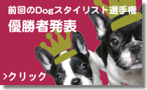 結果発表