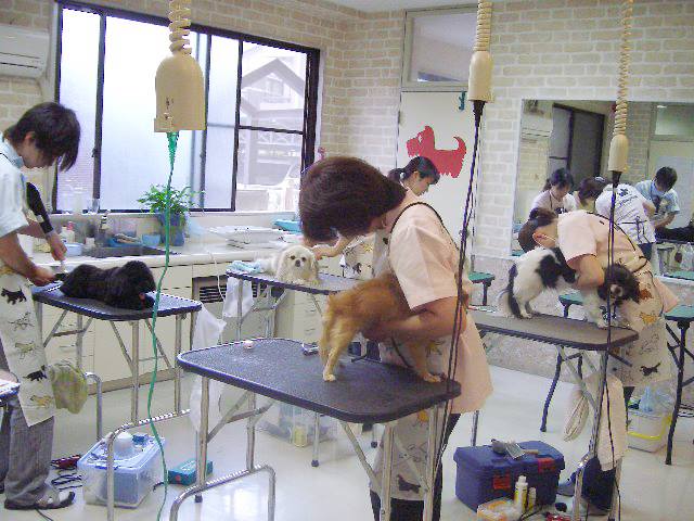 d3basee94b718b1330d9dfea.jpg d3basee94b718b1330d9dfea.jpg