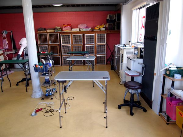 トリマー求人情報 トリマーの情報 コミュニティサイト トリマージェイピー