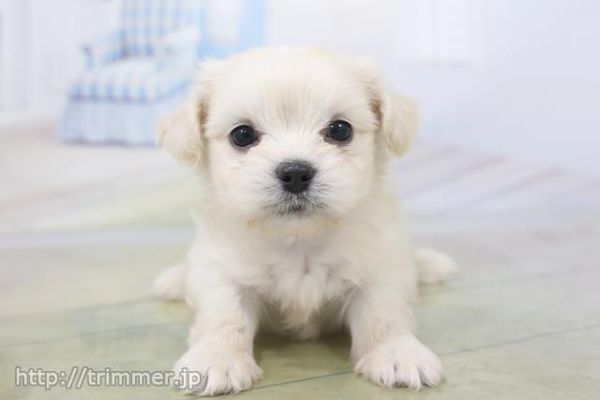 クーアンドリク 滝ノ水