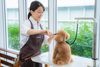 ☆2023年6月オープン予定☆ペットプラストリミングサロン青葉台店（仮称）