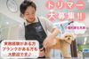 ペットプラストリミングサロン スーパービバホーム東大阪店　高待遇・充実の福利厚生！全国展開のペットプラスのトリミングサロン♪