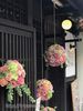 京都御所南・ラグジュアリーな雰囲気の人気ドッグサロン