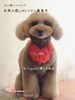【募集中】マッサージを取り入れた癒しのトリミングで犬に優しいトリミングをしませんか？