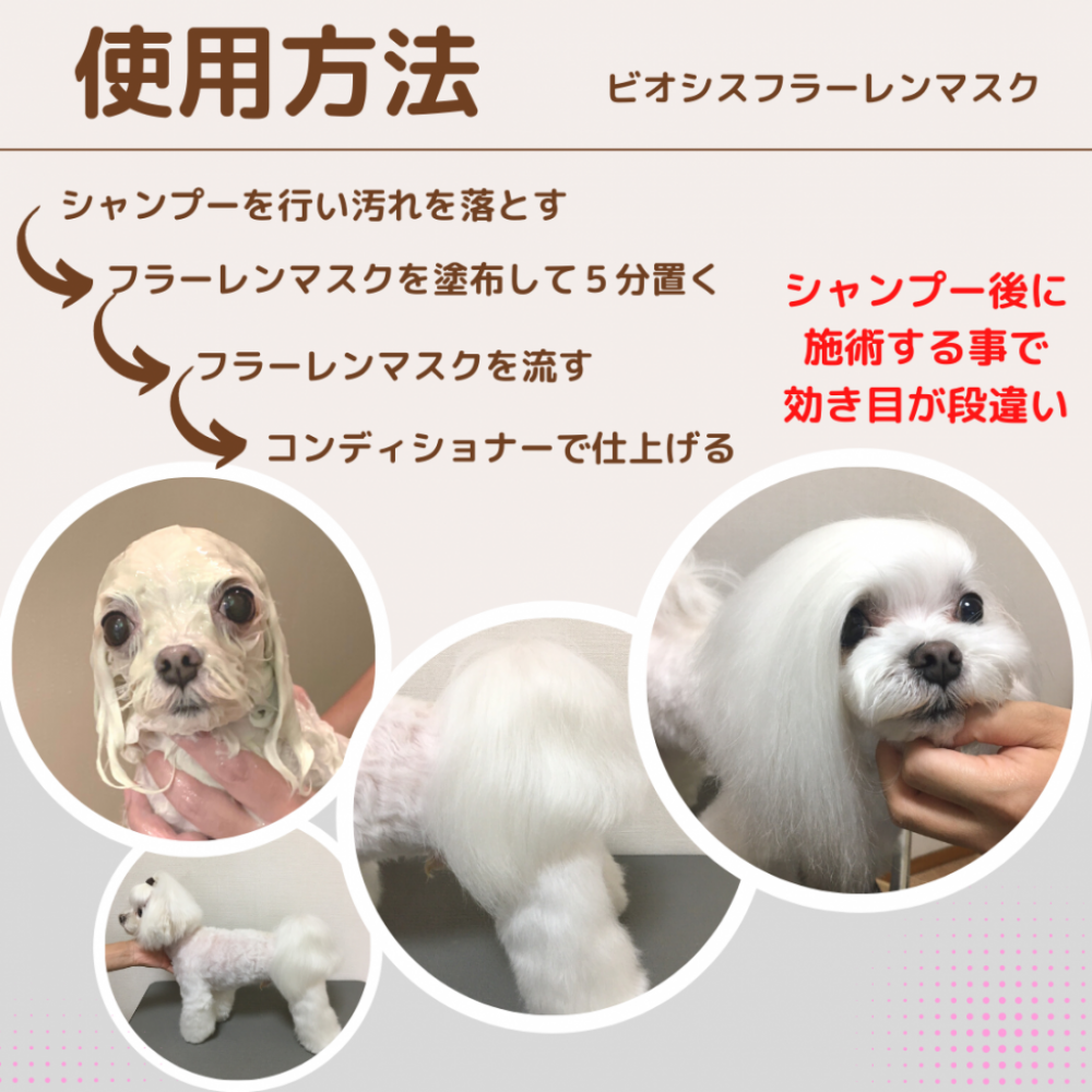 トリマージェイピーモール
