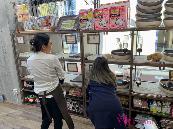 Sopra Pet 恵比寿店 をレポート トリマーの情報 コミュニティサイト トリマージェイピー