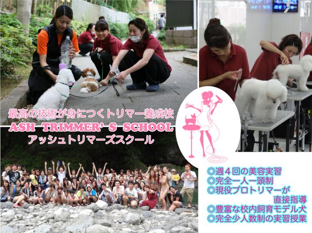 d3base88dfe730ea7cdbfb2b.jpg d3base88dfe730ea7cdbfb2b.jpg